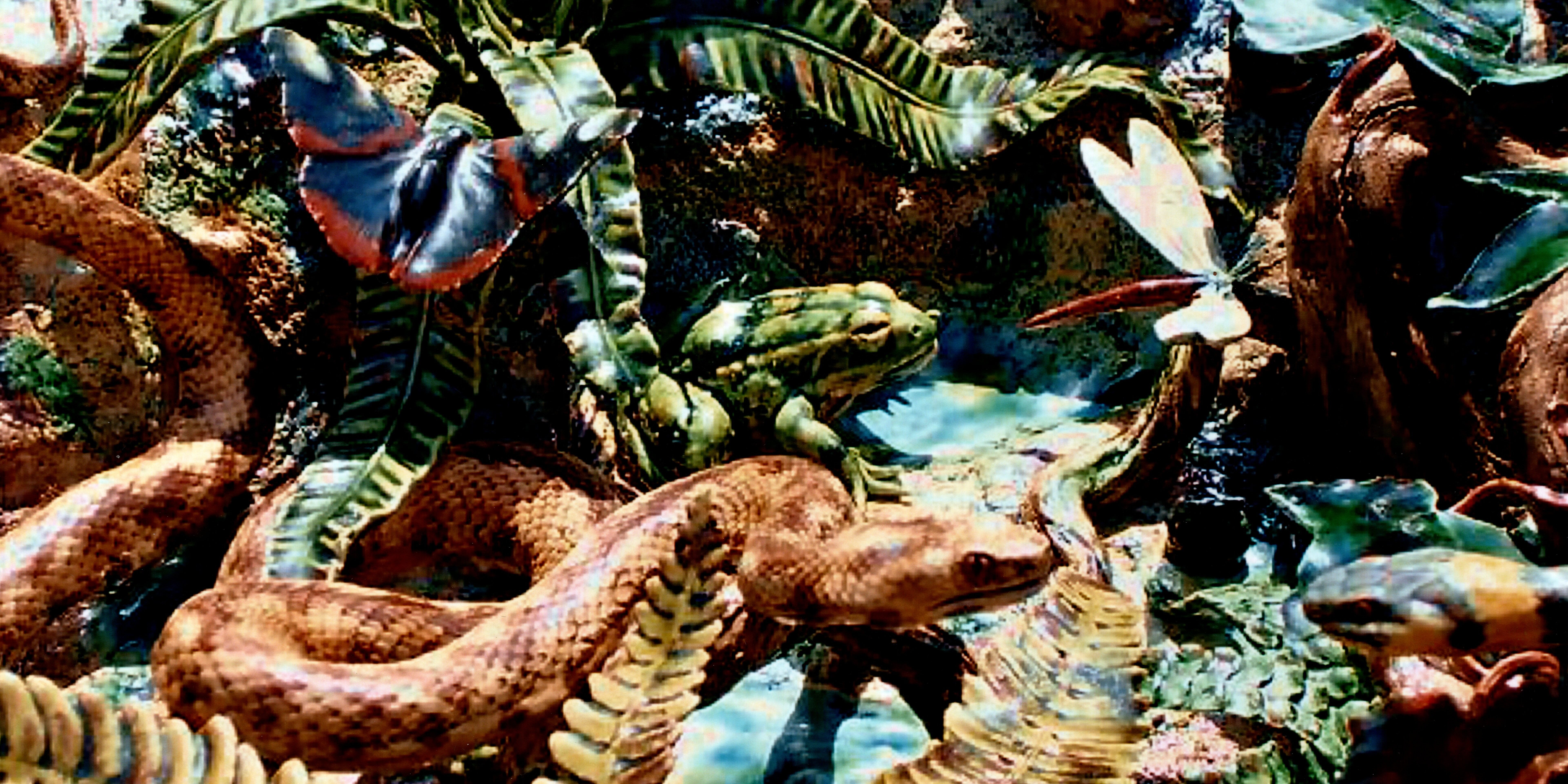 Diner Tourangeau pic 6