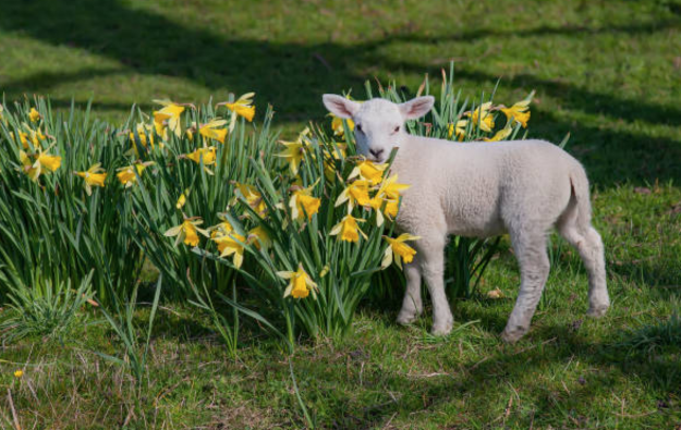 Screenshot 2023-05-09 at 09.32.03