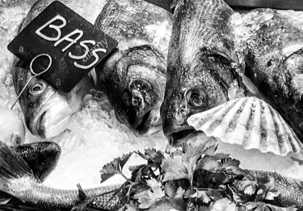 Screenshot 2019-09-29 at 11.58.57