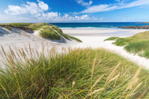 Screen Shot 2023-08-14 at 09.47.39