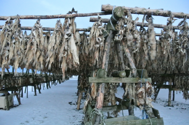 Screen Shot 2023-08-16 at 23.27.12